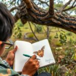 Faceless Monster Mysterious Bat of Africa