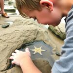 A Spider That Looks Like a Starfish The Reality of a Bizarre Deep Sea Creature