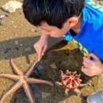 Survival Methods of Starfish and Sea Cucumbers