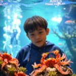 The Secret of Anemone Crab Symbiosis