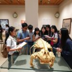 Opabinia Five Eyed Ancient Creature