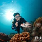 Swimming Style of Ribbon Rays