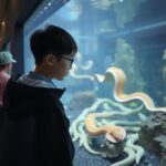 Elegant Dance of the Ribbon Eel in the Sea