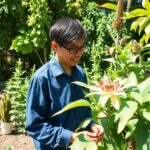 Introduction to the Rare and Mysterious Black Bat Flower