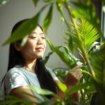 Madagascar Star Cactus Star Shaped Stem Fascinating Cactus