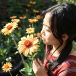 Peach Petal Daisy with Peach Colored Petals