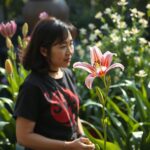 Pink Rain Lily Blossoming After Raindrops