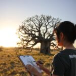 The Charm of the African Baobab Africas Iconic Tree